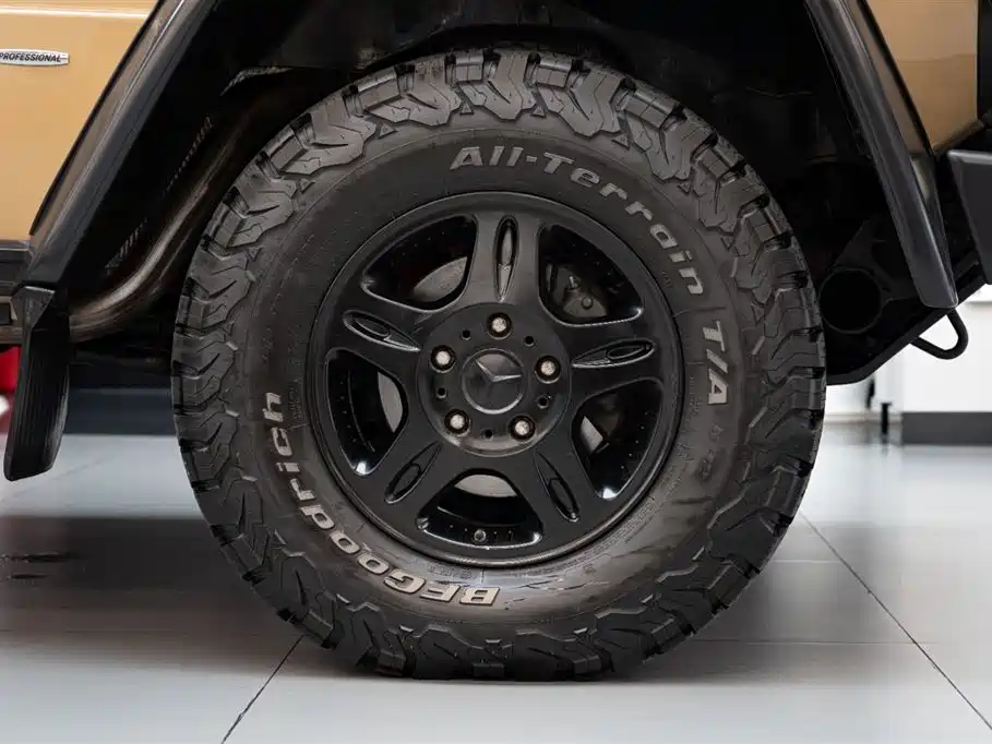 Mercedes-Benz G-Class 2010 — фото 17