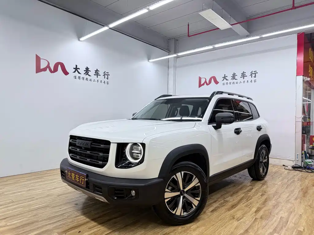 Haval Big Dog 2021 — фото 1
