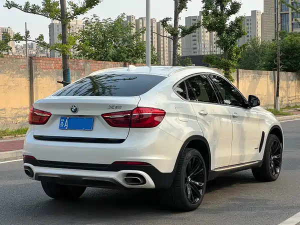 BMW X6 2019