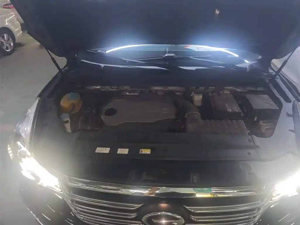 GAC Motor Trumpchi GS8 2019 — фото 20