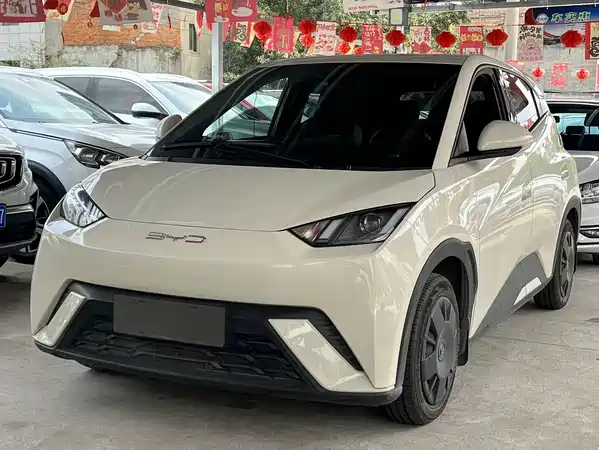 BYD Seagull 2024