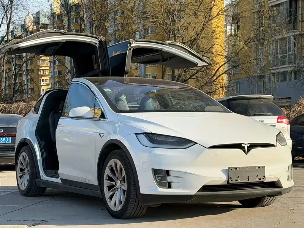 Tesla Model X 2019