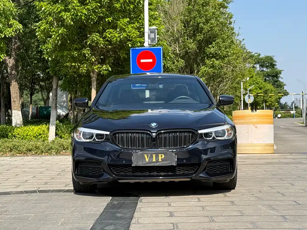 BMW 5 Series 2019 — фото 2