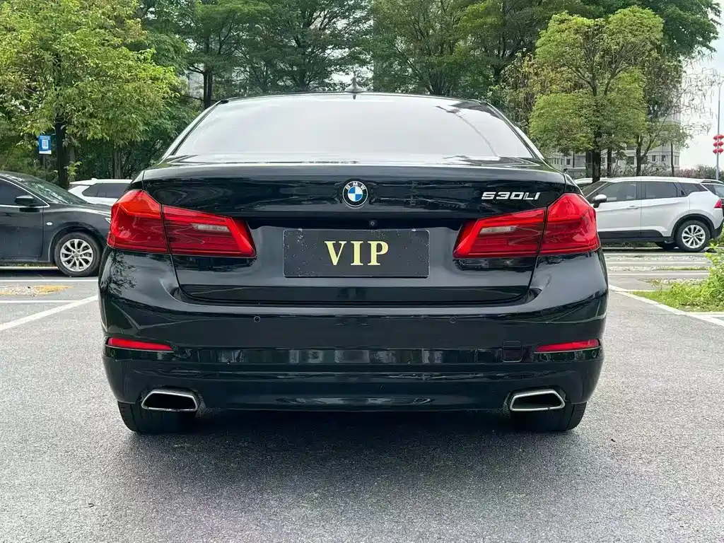 BMW 5 Series 2018 — фото 8