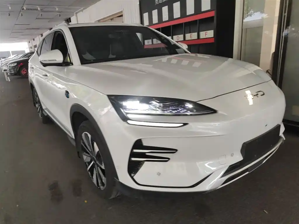 BYD PLUS New Energy 2025 — фото 4