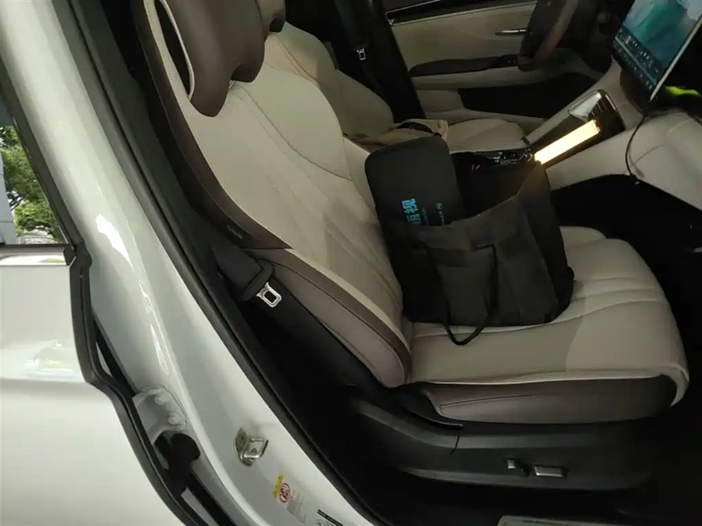 BYD PLUS New Energy 2025 — фото 25