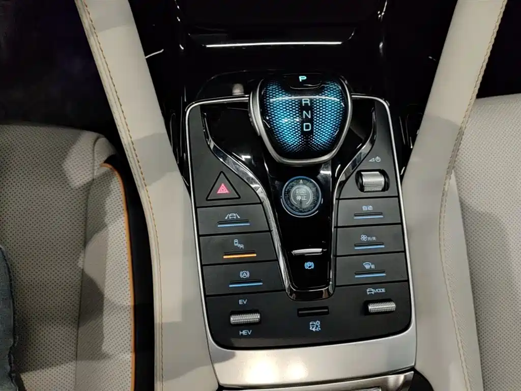 BYD PLUS New Energy 2022 — фото 14