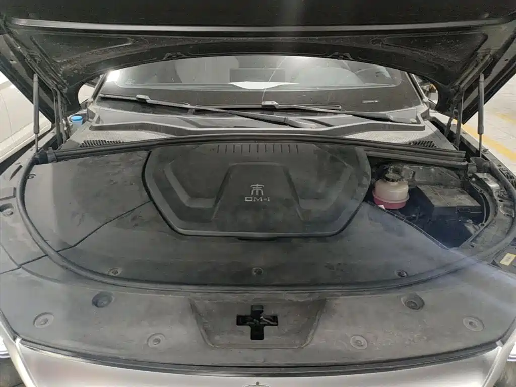 BYD PLUS New Energy 2022 — фото 19