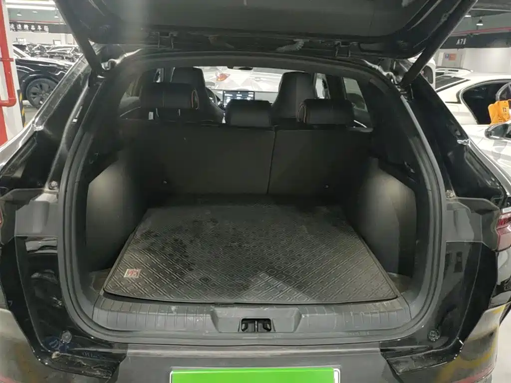 BYD PLUS New Energy 2022 — фото 18