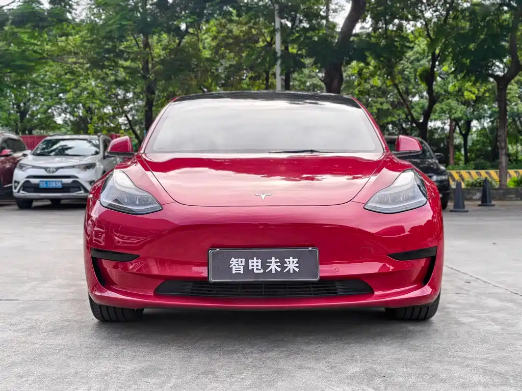 Tesla Model 3 2021 — фото 2