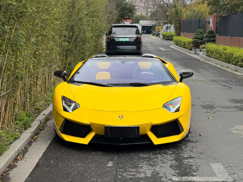 Lamborghini Aventador 2016 — фото 11