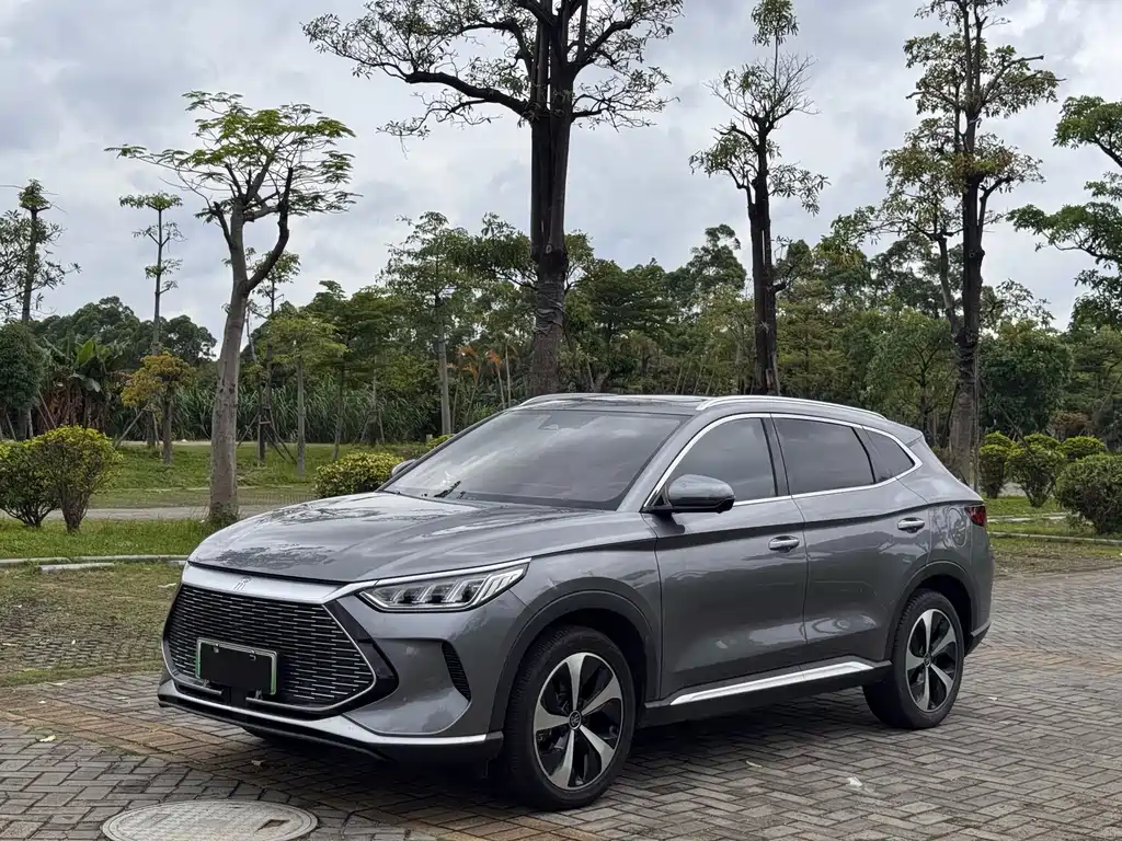 BYD PLUS New Energy 2023 — фото 1