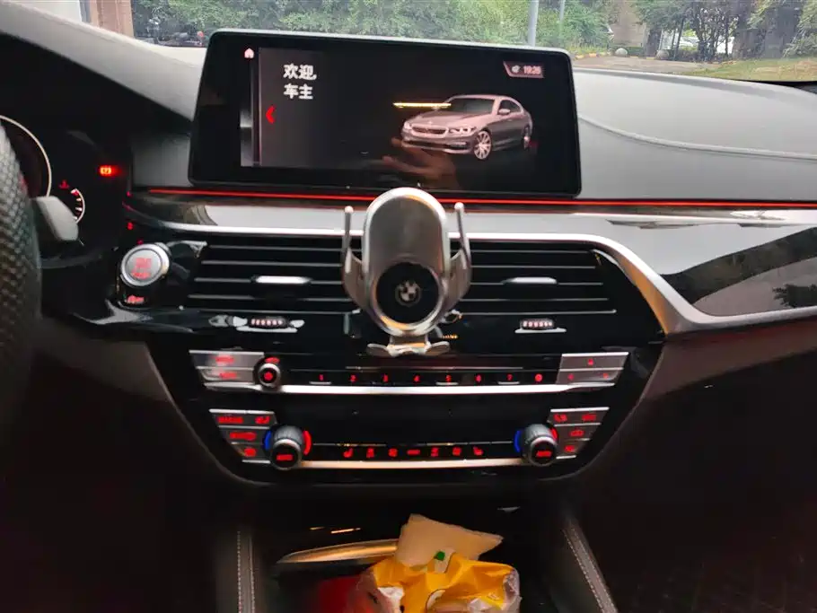BMW 5 Series 2019 — фото 13