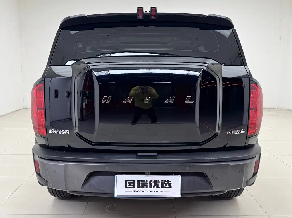 Haval Cool Dog 2022 — фото 5
