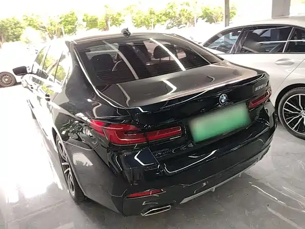 BMW 5 Series New Energy 2022