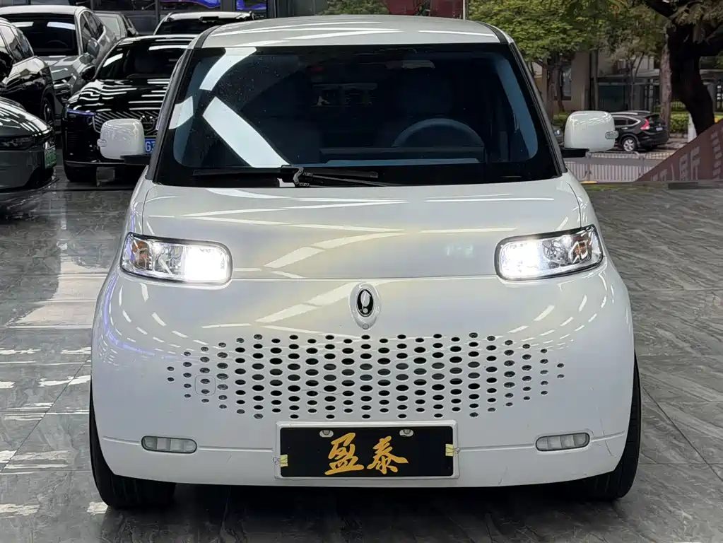 Ora White Cat 2022