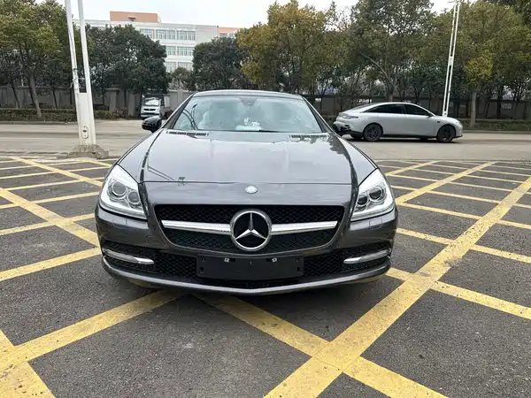 Mercedes-Benz SLK-Class 2011