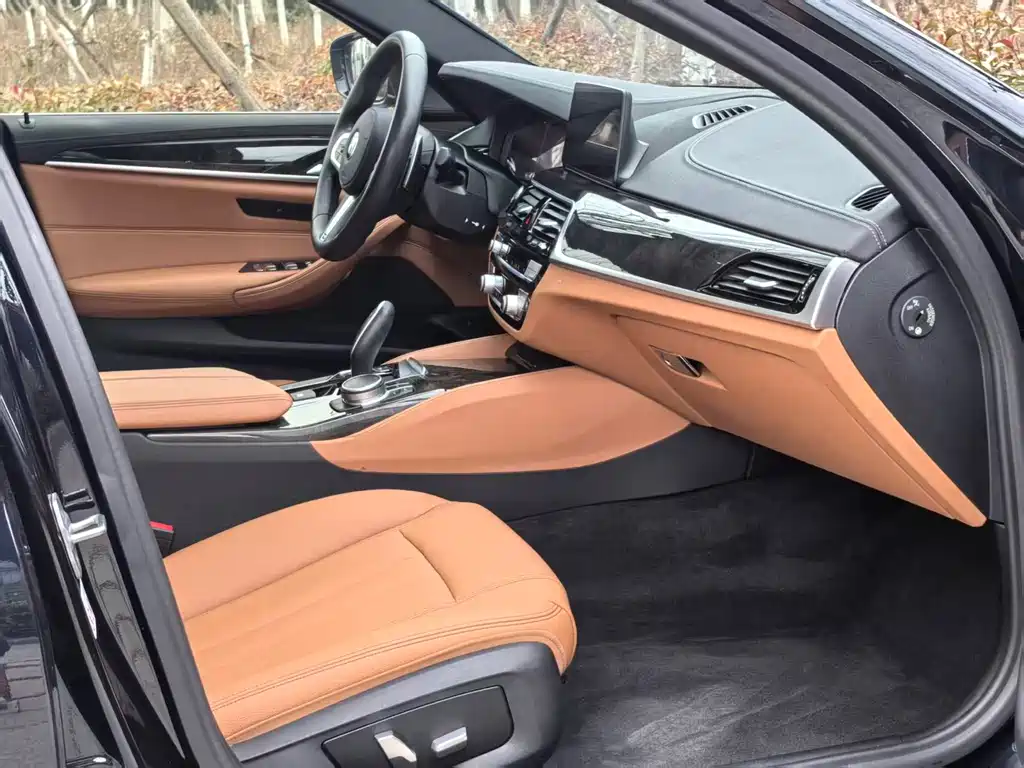 BMW 5 Series 2019