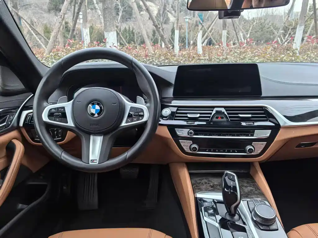 BMW 5 Series 2019 — фото 12