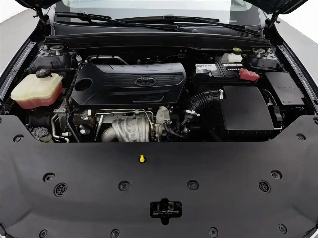 BYD Qin Pro 2020