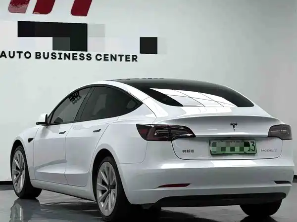 Tesla Model 3 2021