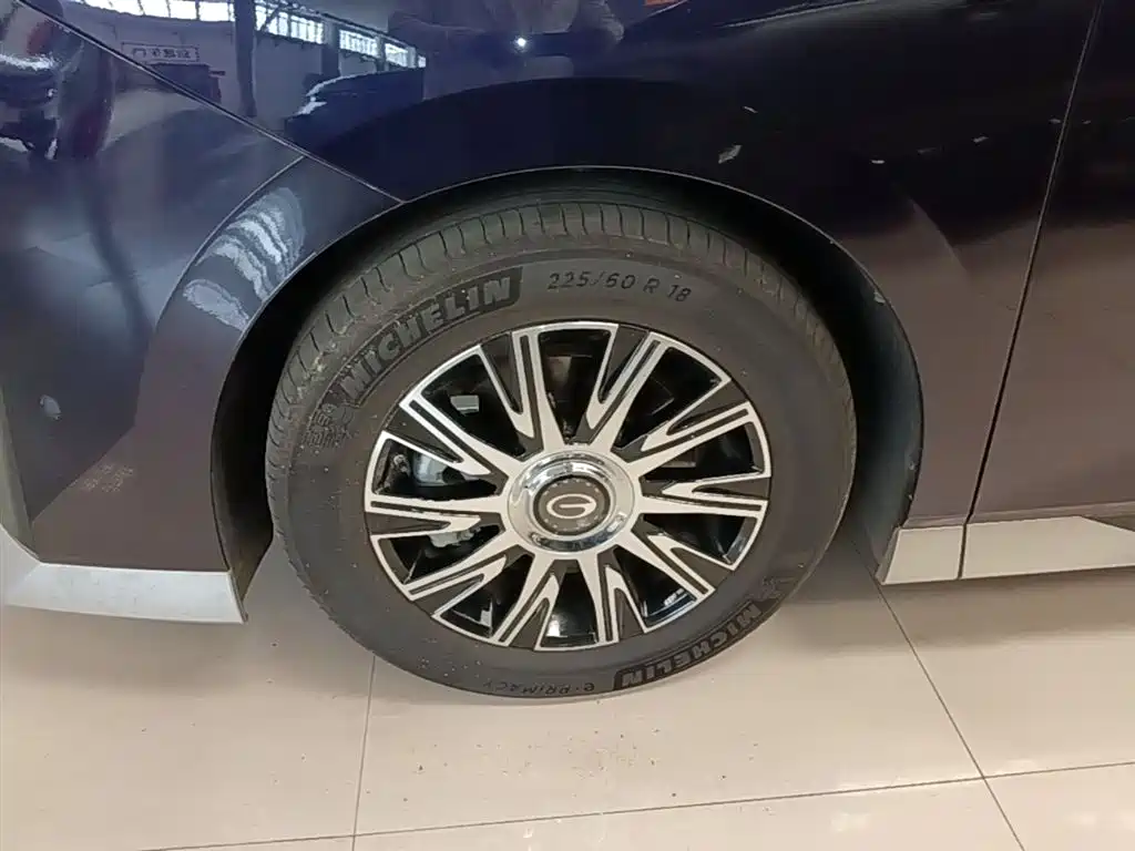 GAC Motor Trumpchi E9 2023 — фото 23
