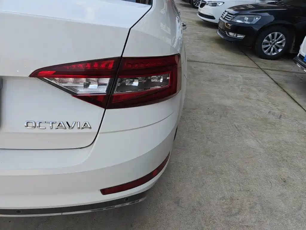 Skoda Octavia 2019 — фото 8
