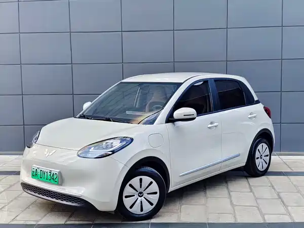 Wuling Bingo 2023