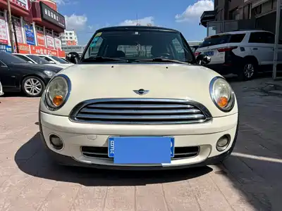 MINI MINI 2010