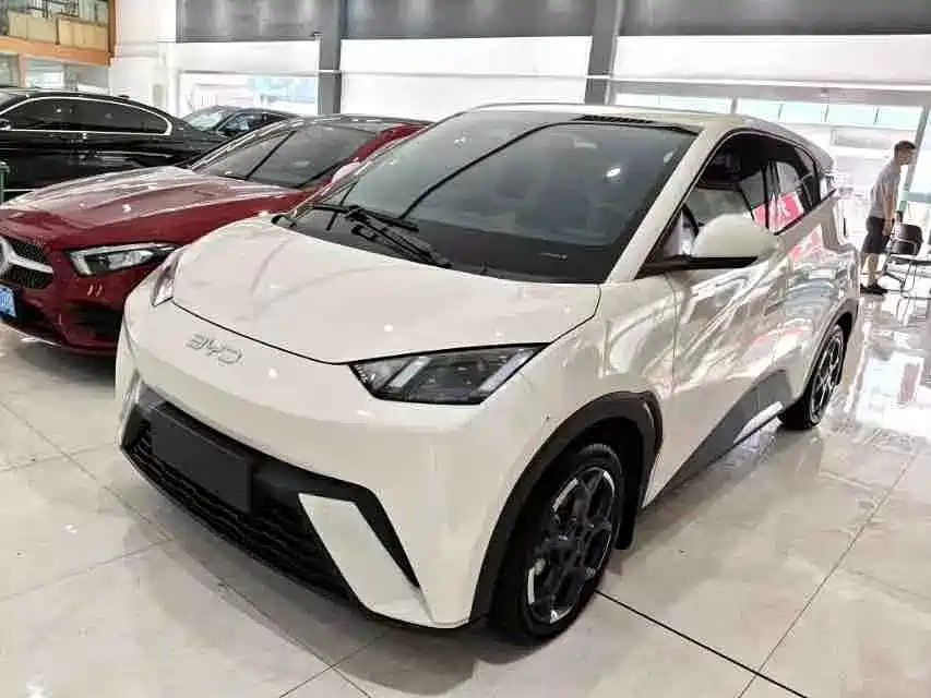 BYD Seagull 2024