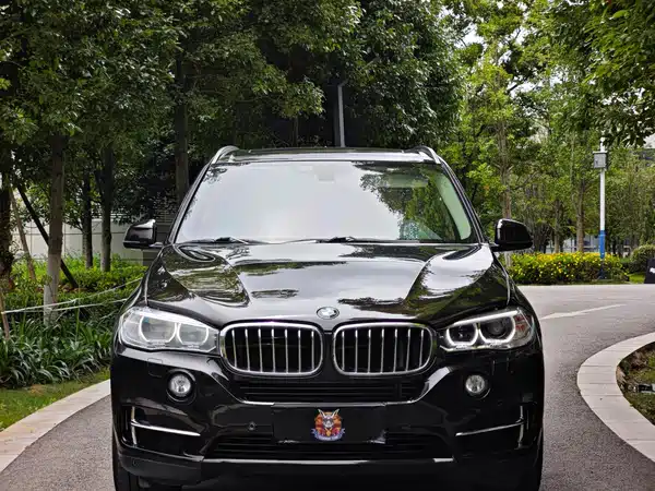 BMW X5 2017