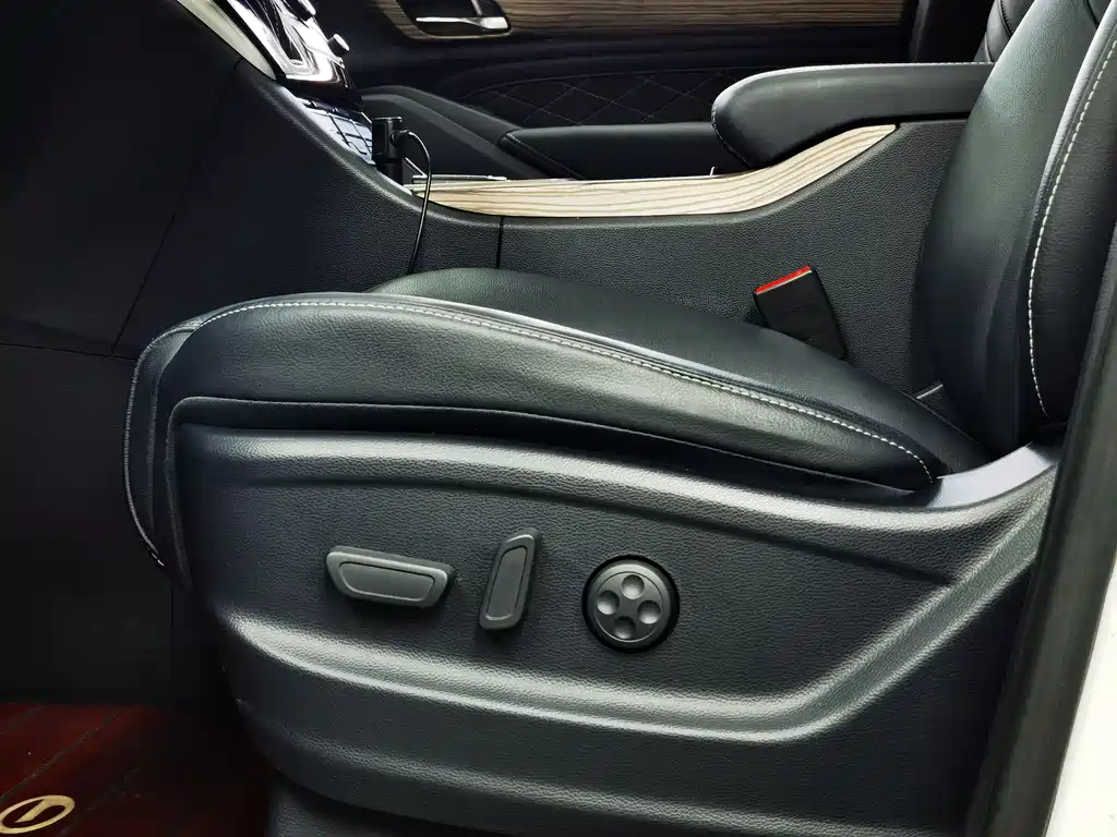GAC Motor Trumpchi M8 2019 — фото 12