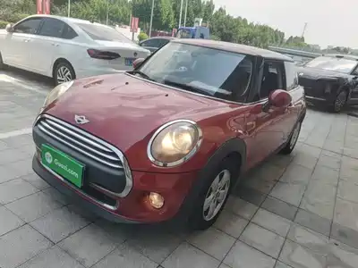MINI MINI 2015