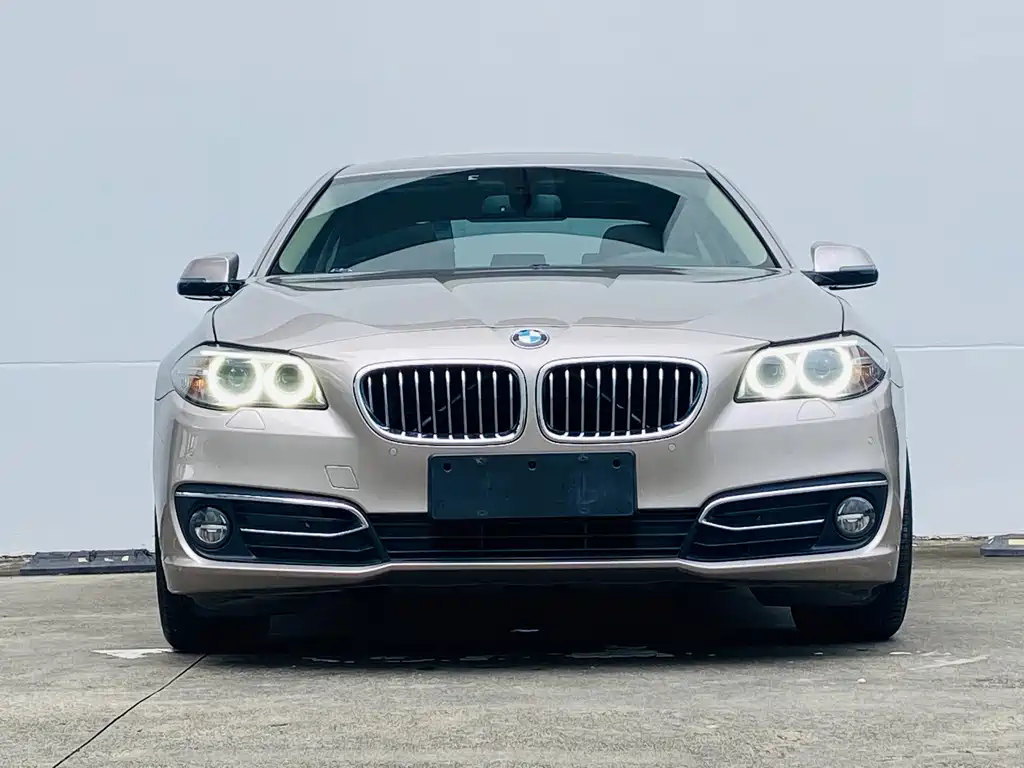 BMW 5 Series 2015