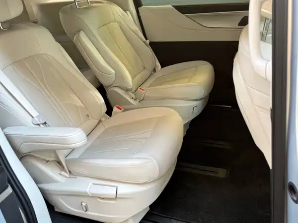 Buick GL8 New Energy 2024