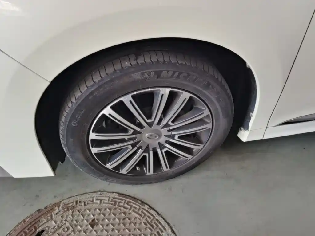 GAC Trumpchi M8 2022 — фото 23