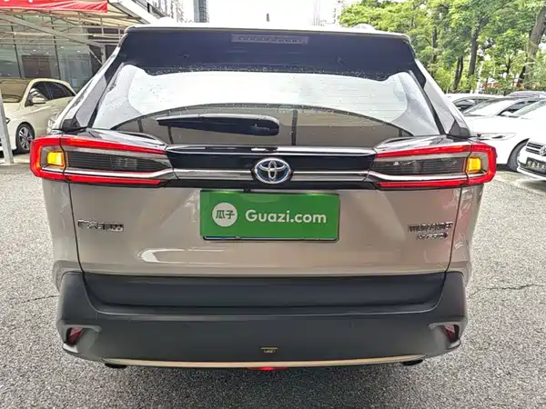 Toyota Wildlander 2022