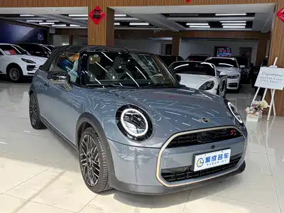 MINI MINI 2025