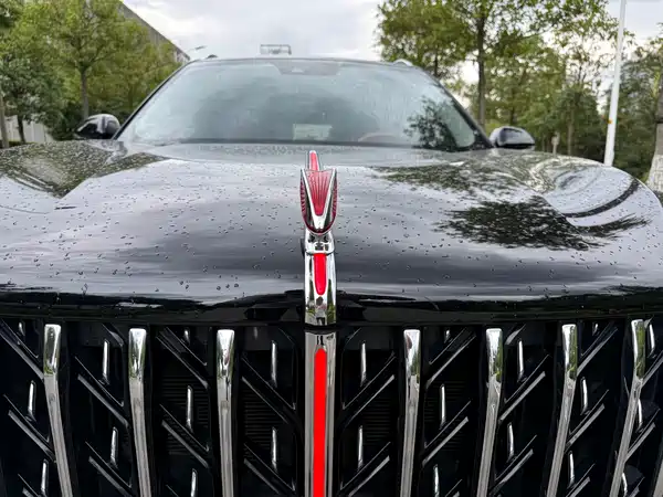 Hongqi HS5 2024