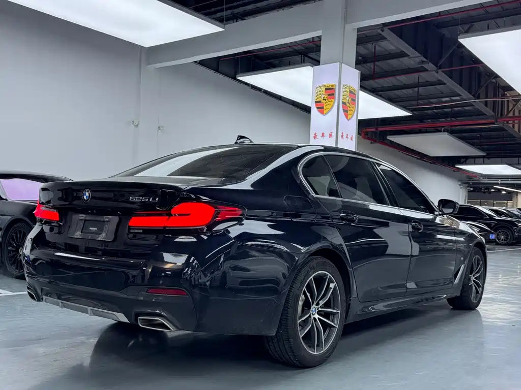 BMW 5 Series 2020 — фото 15