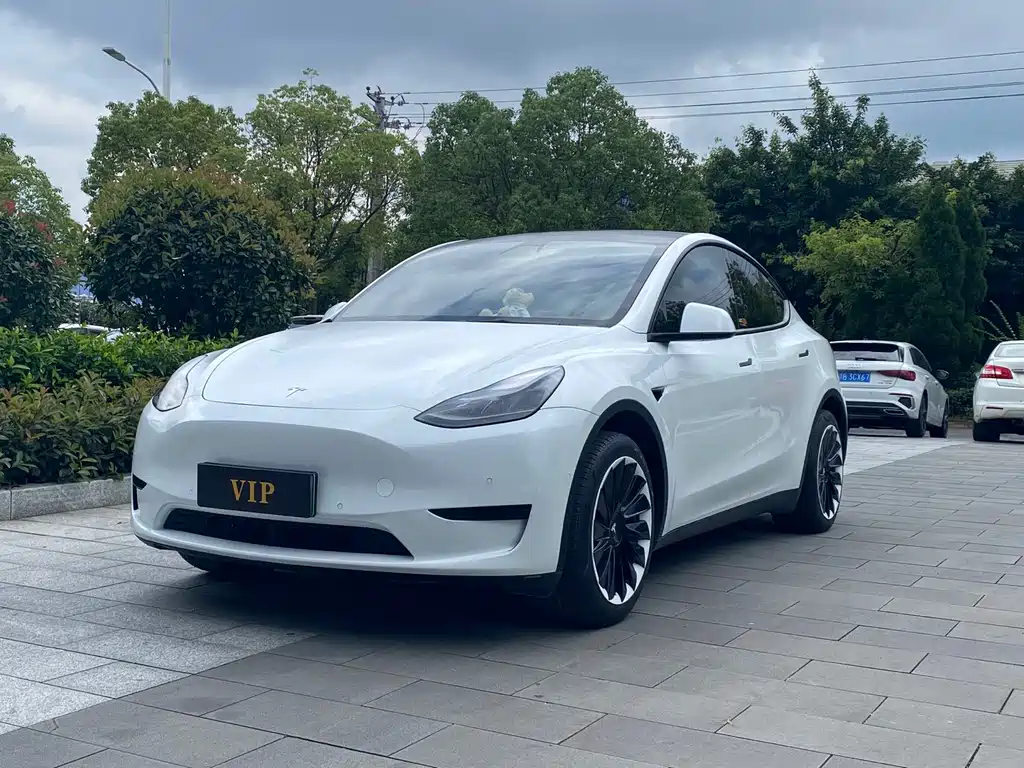 Tesla Model Y 2023 — фото 1