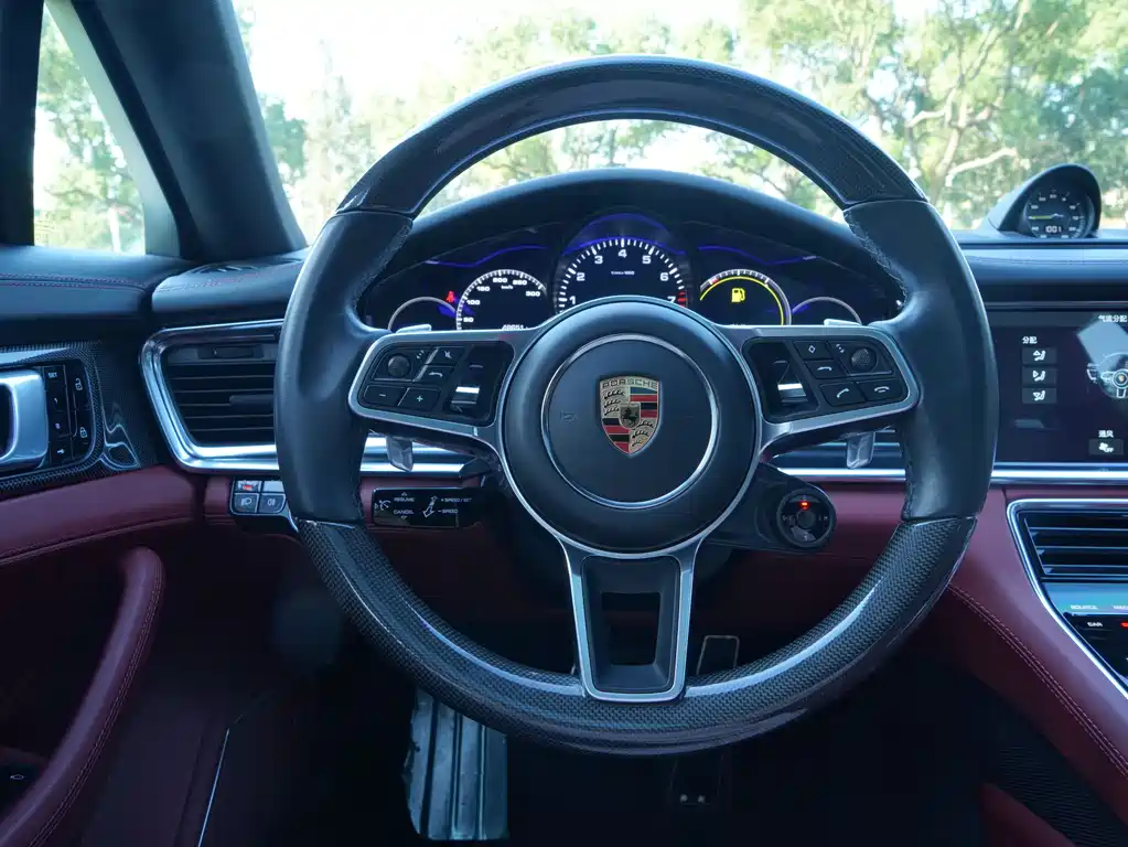 Porsche Panamera Hybrid 2020 — фото 10