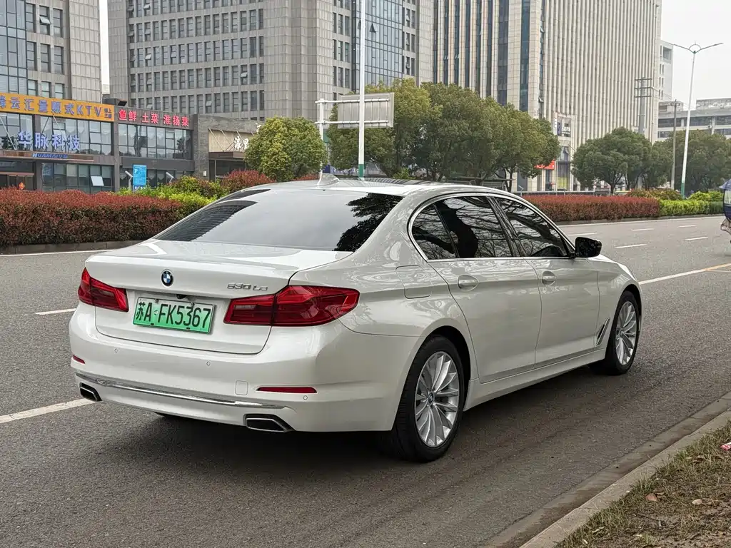 BMW 5 Series New Energy 2019