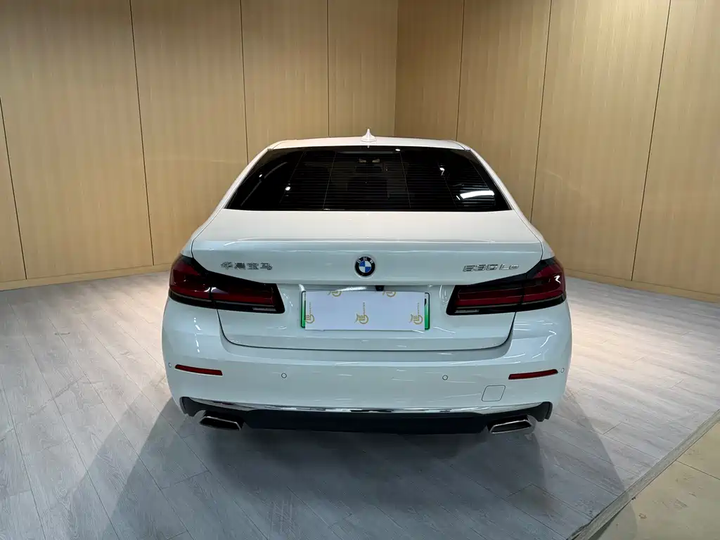 BMW 5 Series New Energy 2021 — фото 8