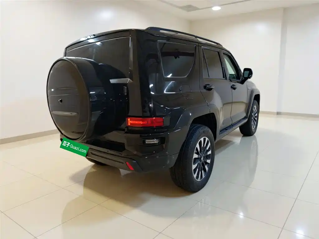 Tank 700 New Energy 2024