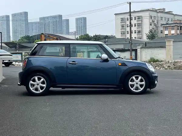 MINI 2010