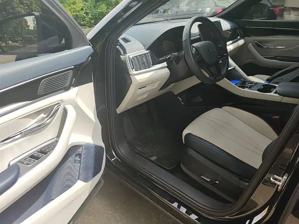 BYD PLUS New Energy 2024 — фото 16