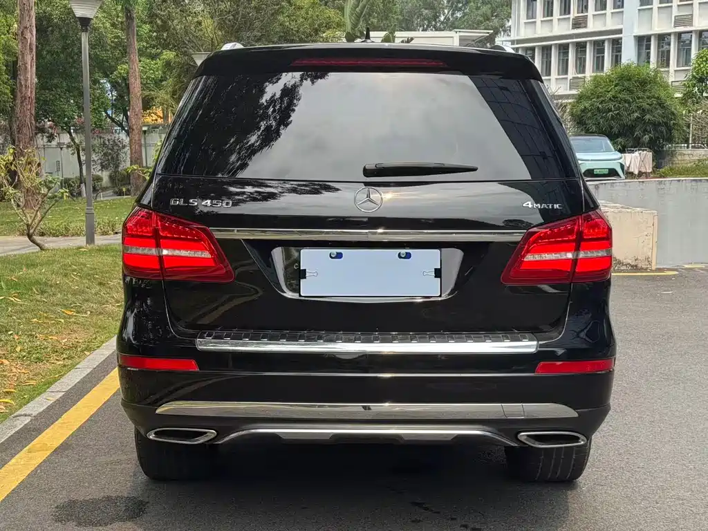 Mercedes-Benz GLS 2017 — фото 14