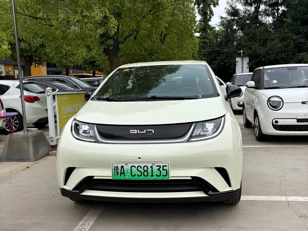 BYD Dolphin 2026