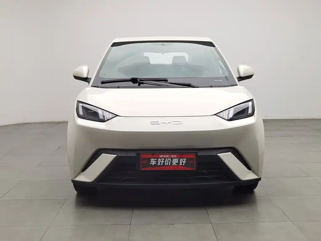 BYD Seagull 2023